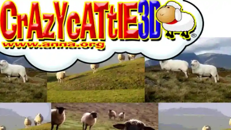Crazy Cattle 3D gameplay mechanics and level design